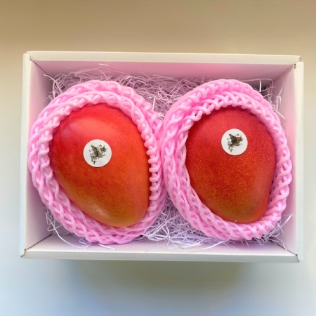 北海道真冬のマンゴー『十勝マンゴー』4Lサイズ2玉セット（箱入れ）