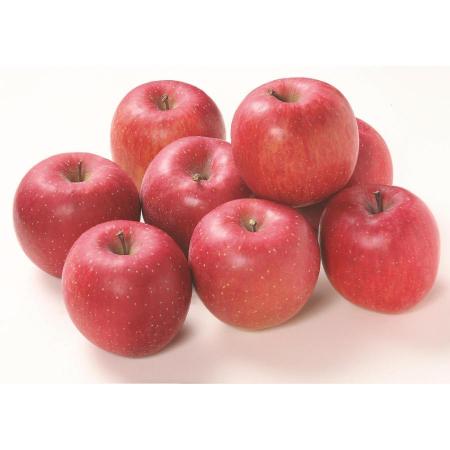 ＜エムアイフードスタイル＞十八塚りんご　サンふじりんご優品　5kg（16～20個）