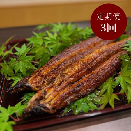 ＜うなぎ割烹　みかわ三水亭＞三河産鰻 炭火手焼き「蒲焼」2尾【3ヵ月定期便】・M126