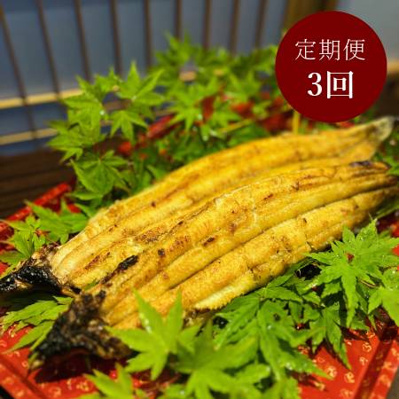 ＜うなぎ割烹　みかわ三水亭＞三河産鰻 炭火手焼き「白焼き」2尾【3ヵ月定期便】・M130