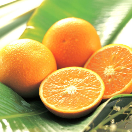 有田産清見オレンジ秀品（M～3Lサイズ）5kg