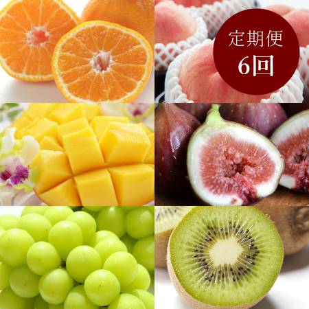 和歌山県産”秀品”「旬の果物」（マンゴー入）【６回定期便】