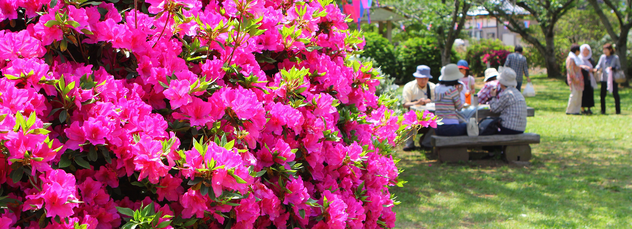 つつじ祭り