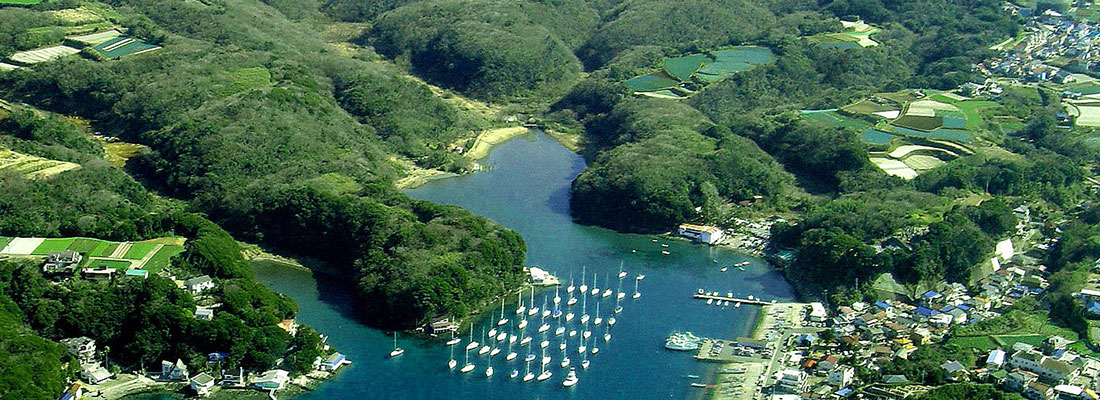 小網代湾と小網代の森