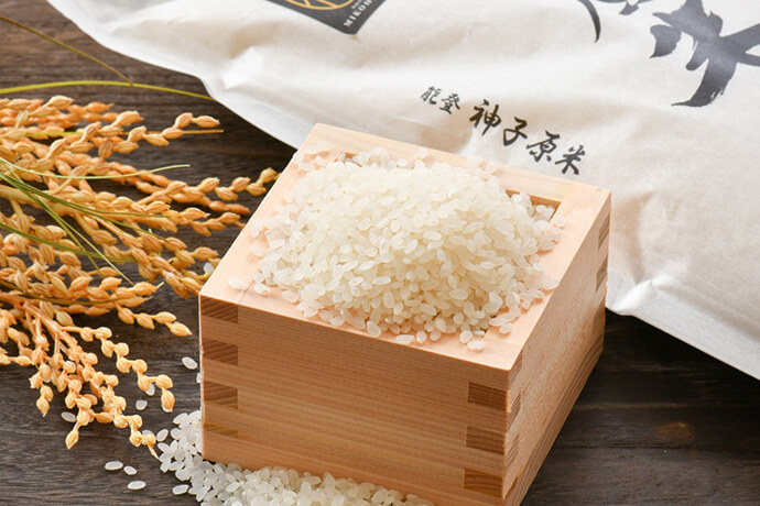 手間暇かけて育てられたコシヒカリ