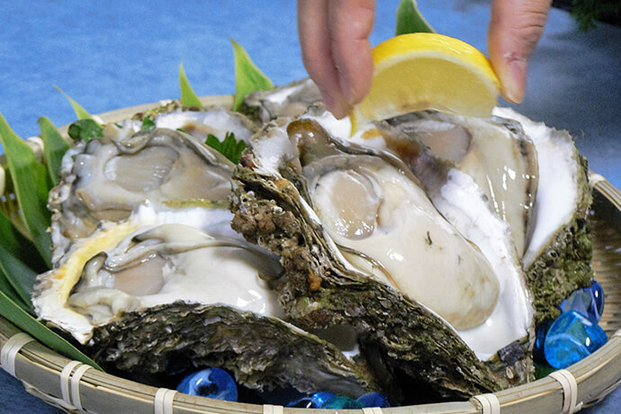 柴垣天然岩ガキ(夏期限定)