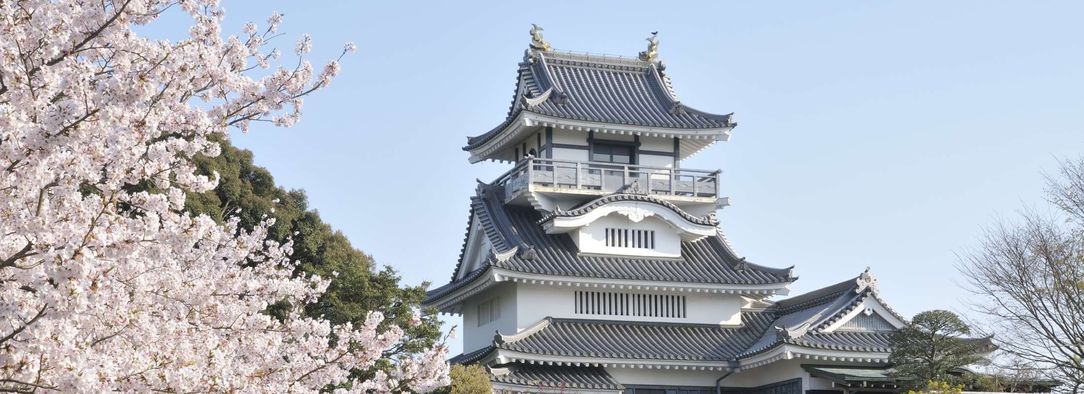 小山城