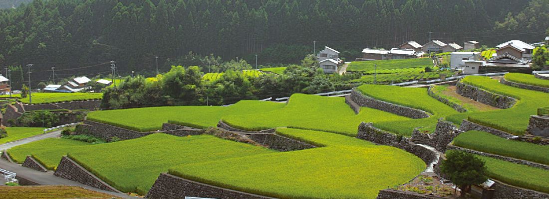 深野棚田