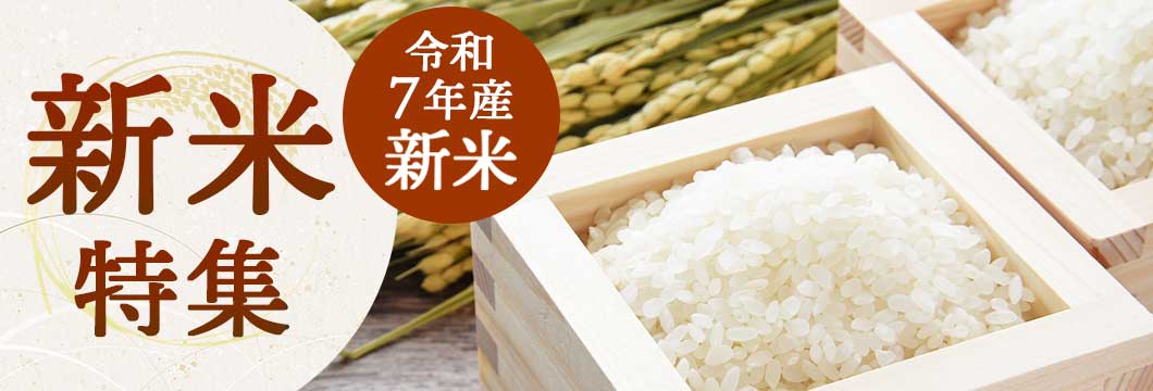 新米特集