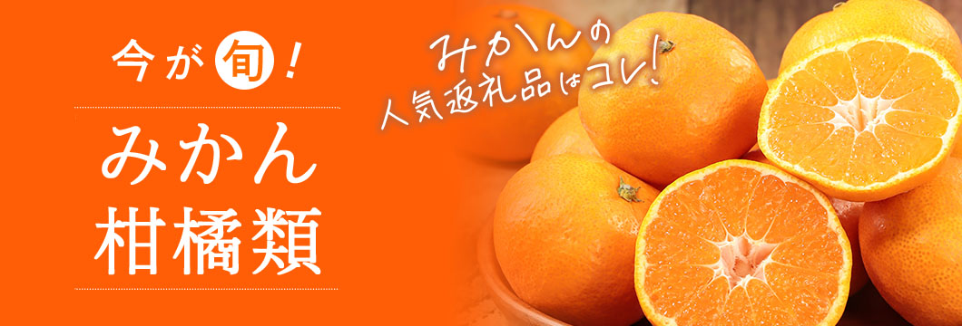 今が旬！みかん・柑橘類 みかんの人気返礼品はコレ！
