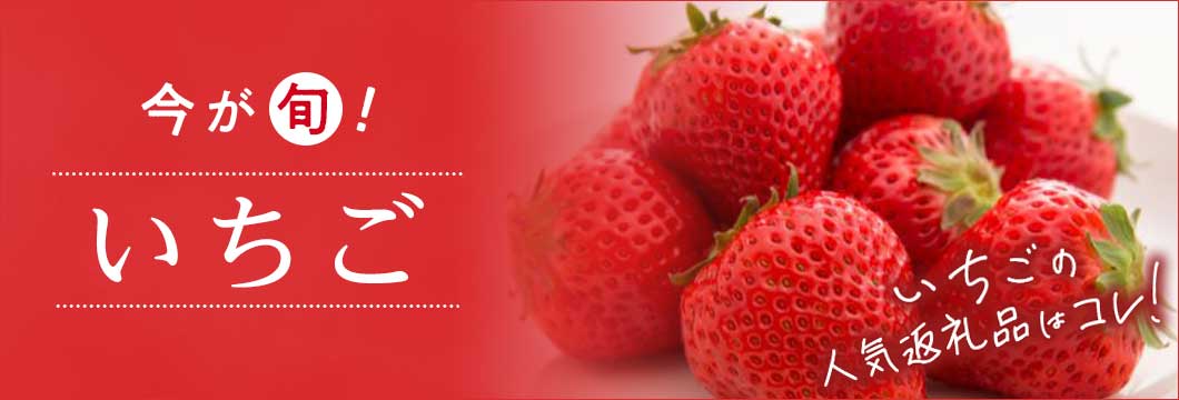 今が旬！いちご いちごの人気返礼品はコレ！