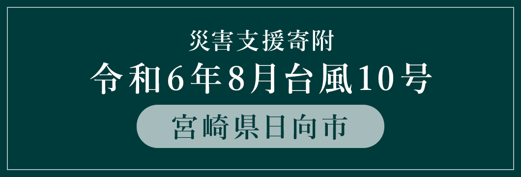 宮崎県日向市 令和6年8月台風10号災害支援（返礼品なし）