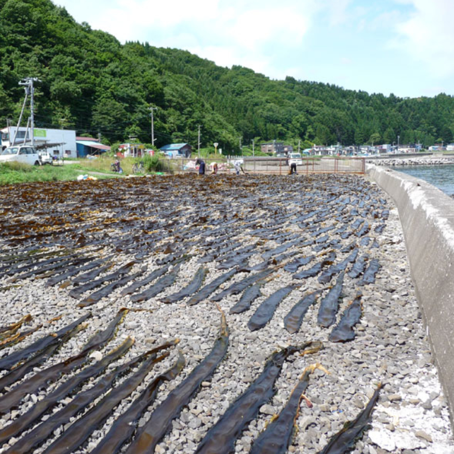 ＜函館カネニ＞はこだて朝市ねこんぶだしセット300mlx6本