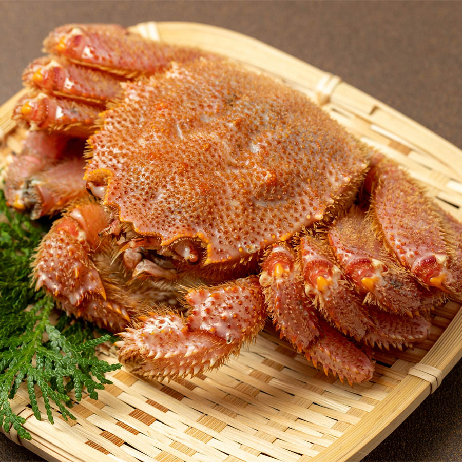 ＜弘成＞ボイル大「毛蟹」570g