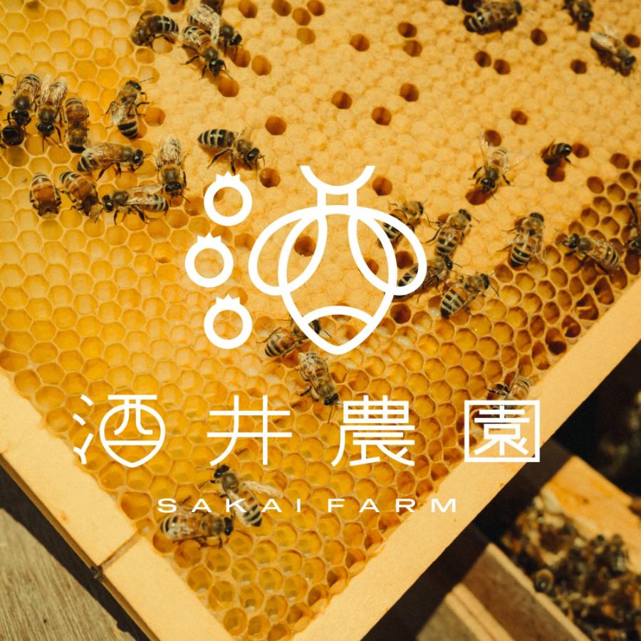 ＜酒井農園＞季節のはちのみつKitami Honey（アカシア）150g×2