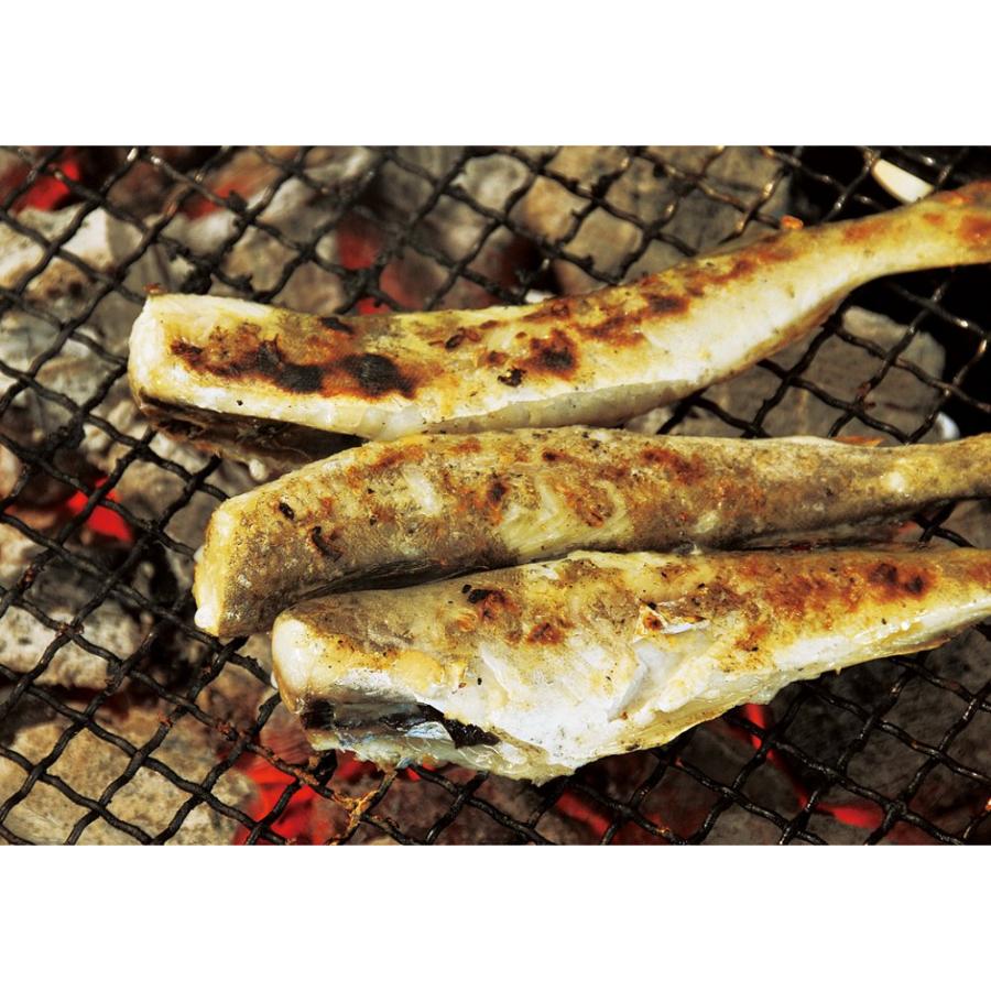 ＜網走水産＞北海道産 生干しこまい1kg×2箱