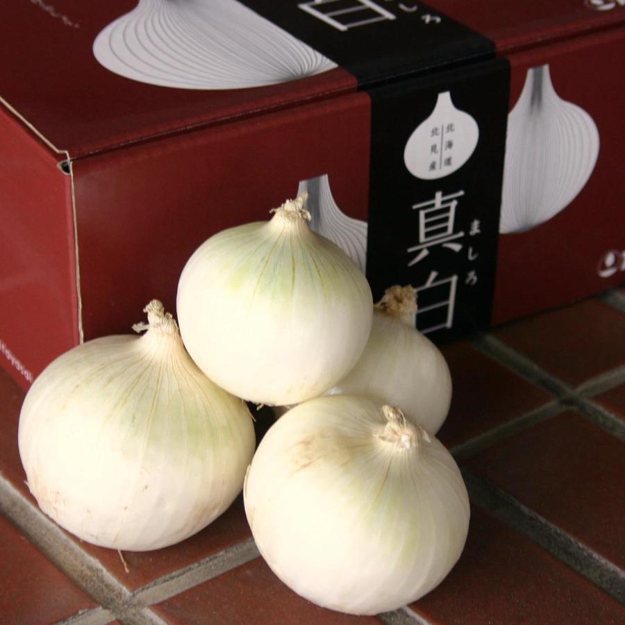＜JAきたみらい＞真白玉ねぎ3kg