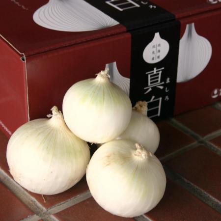 ＜JAきたみらい＞真白玉ねぎ3kg