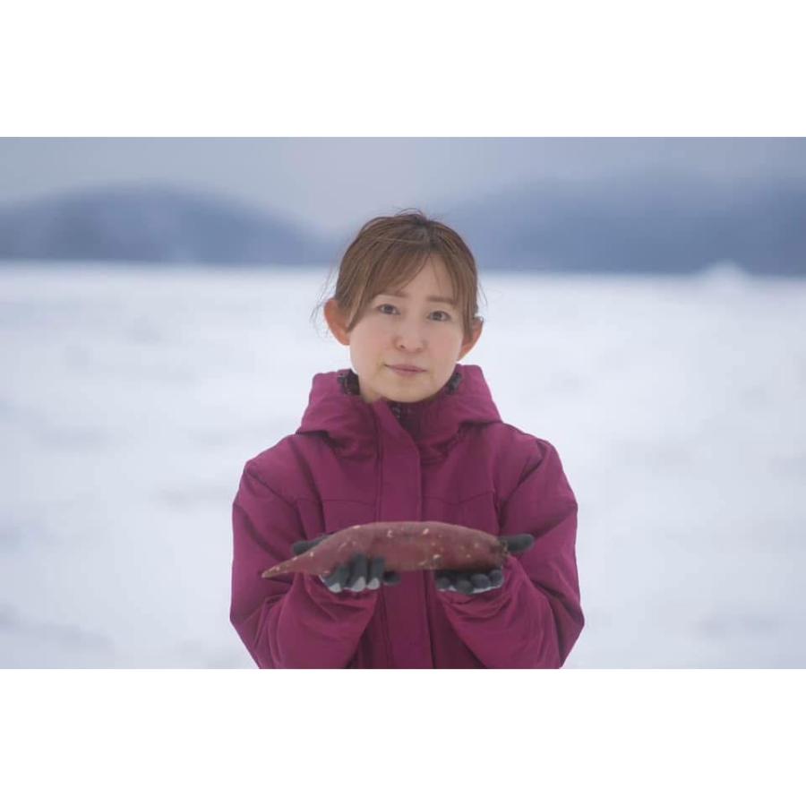<緑夢ファーム>さつまいも(オホーツクシルク)5kg