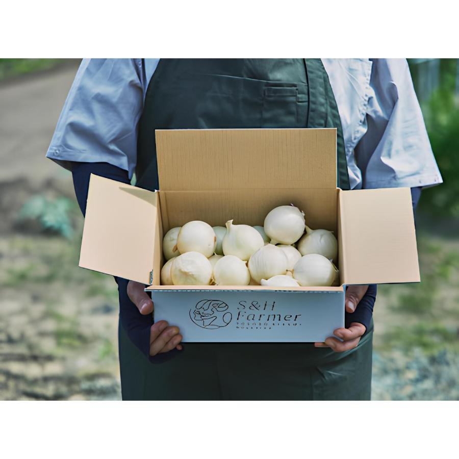 ＜S＆Hファーマー＞白たまねぎ5kg