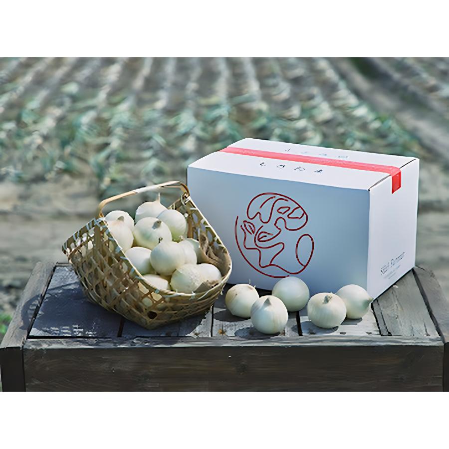 ＜S＆Hファーマー＞白たまねぎ5kg