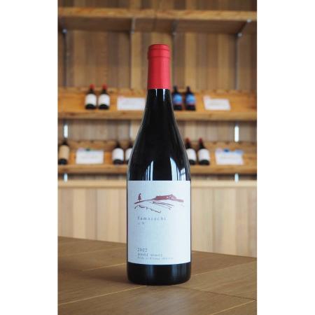 ＜Infeeld winery＞山幸2022 750ml×1本