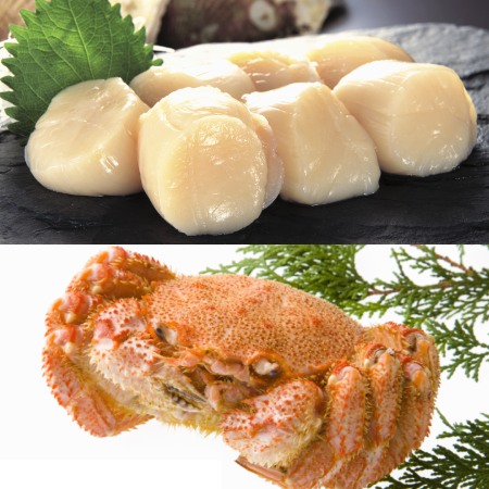 ＜きたに池田＞-70℃凍結ホタテ400g＆ボイル毛ガニ1尾