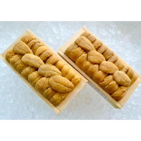 ＜きたに池田＞稚内前浜産ムラサキウニ120g×2
