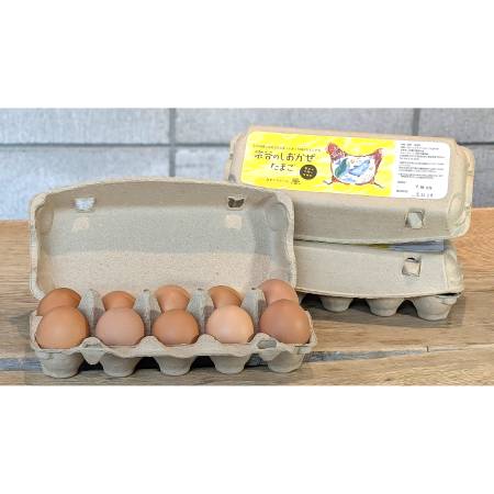 ＜カヤニファーム＞宗谷のしおかぜたまご10個入×3ケース