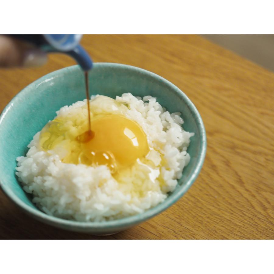 <カヤニファーム>宗谷のしおかぜたまご10個入×3ケース