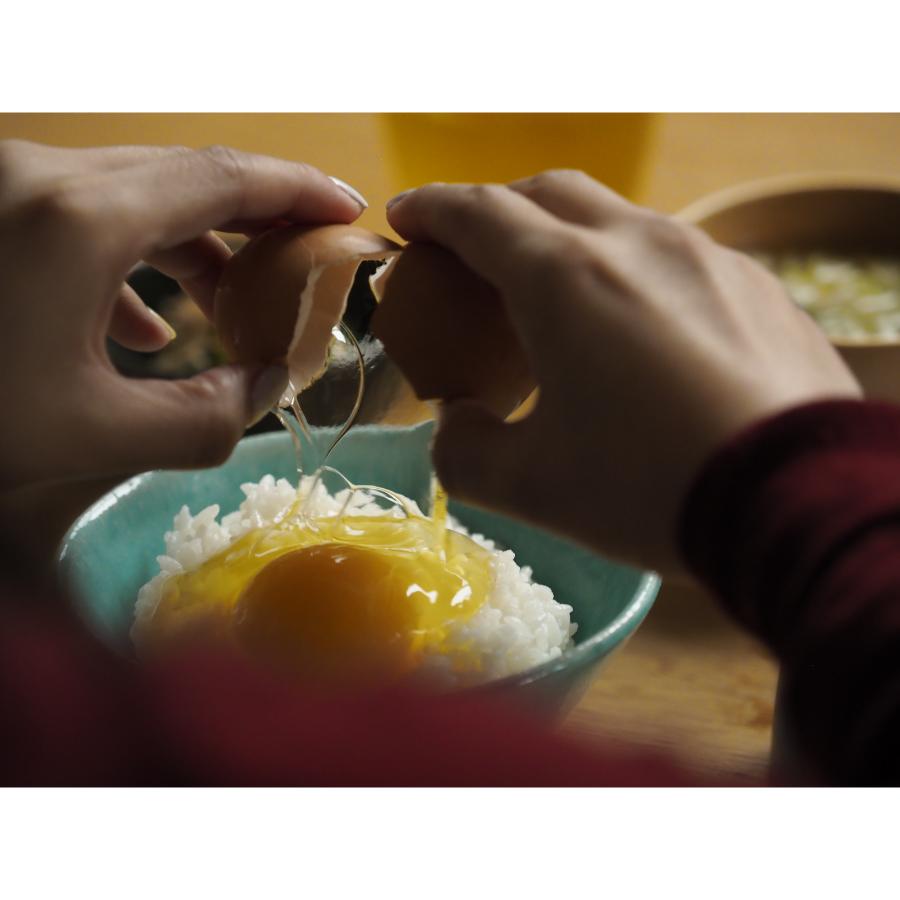 <カヤニファーム>宗谷のしおかぜたまご10個入×3ケース3回定期便