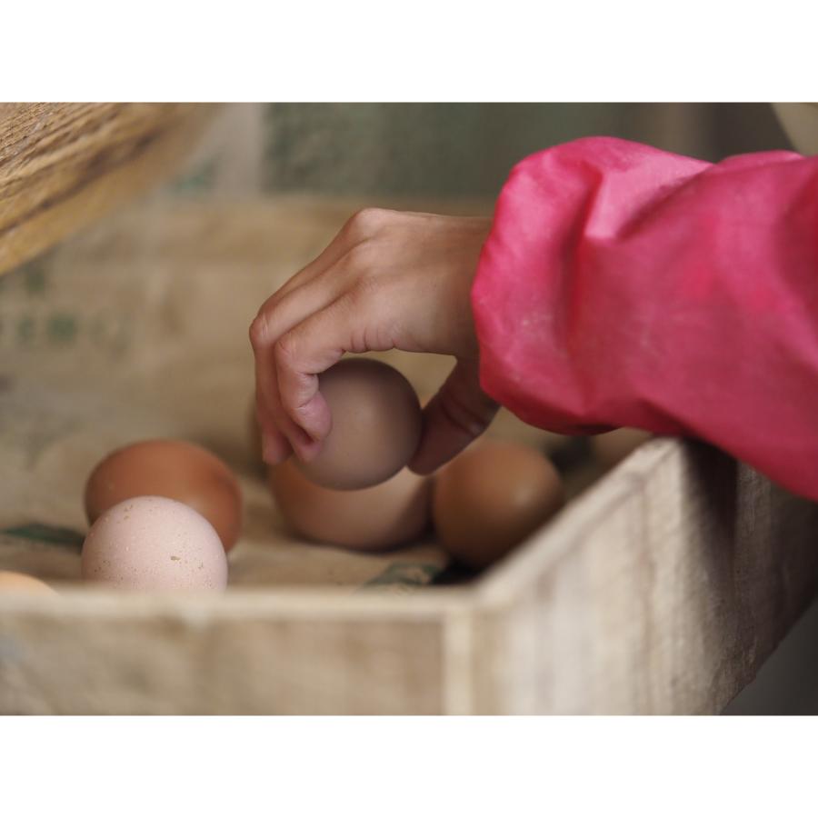 ＜カヤニファーム＞宗谷のしおかぜたまご10個入×3ケース6回定期便