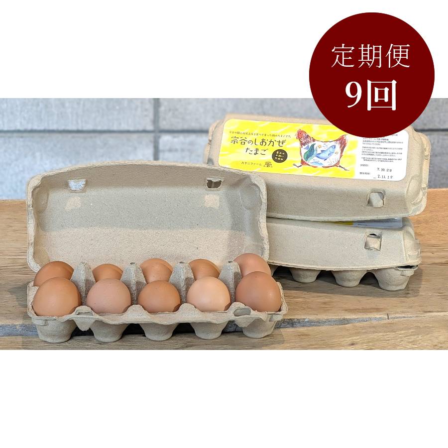 <カヤニファーム>宗谷のしおかぜたまご10個入×3ケース9回定期便