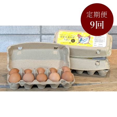 ＜カヤニファーム＞宗谷のしおかぜたまご10個入×3ケース9回定期便