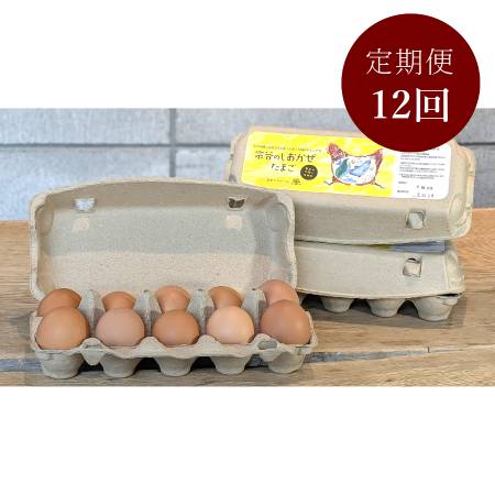 ＜カヤニファーム＞宗谷のしおかぜたまご10個入×3ケース12回定期便