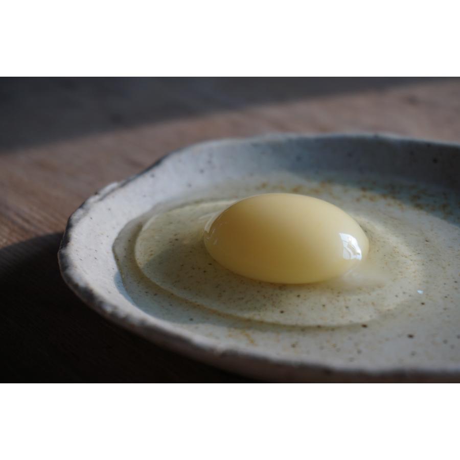 ＜埜や＞平飼い卵のキッシュとタルトセット6個入