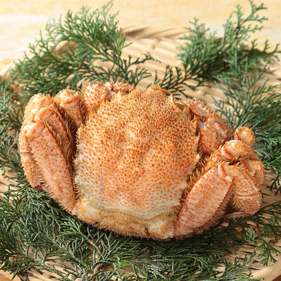 ＜たつみ食品＞宗谷産毛がに500g