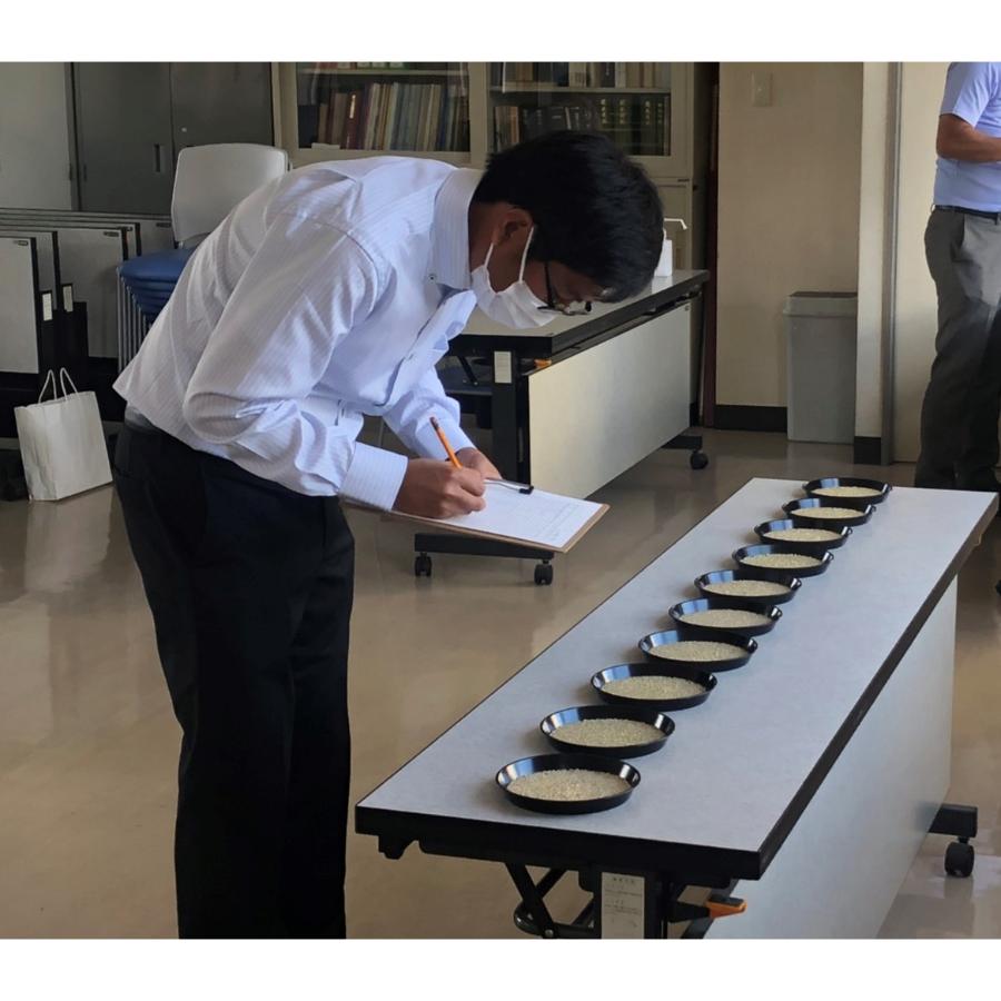 ＜丸光伊藤興農園＞芦別市産ゆめぴりか・ななつぼし・ふっくりんこ300g×3袋セット