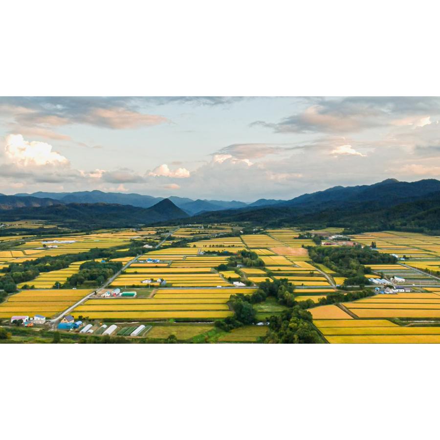 ＜丸光伊藤興農園＞芦別市産ゆめぴりか・ななつぼし・ふっくりんこ300g×3袋セット