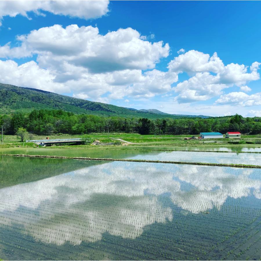 ＜丸光伊藤興農園＞芦別市産ゆめぴりか・ななつぼし300g×12袋（各6袋）