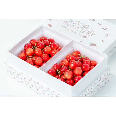 ＜大橋さくらんぼ園＞さくらんぼ佐藤錦バラ500g×2パック