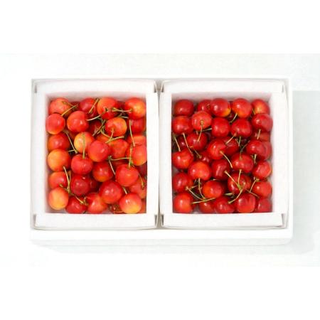 ＜大橋さくらんぼ園＞さくらんぼCセット（南陽・紅秀峰）バラ500g×2パック