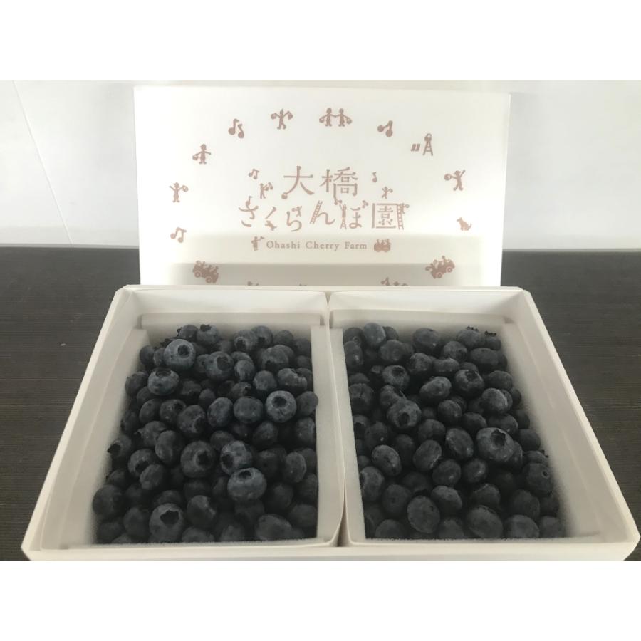 ＜大橋さくらんぼ園＞北海道産完熟ブルーベリー500g×2パック