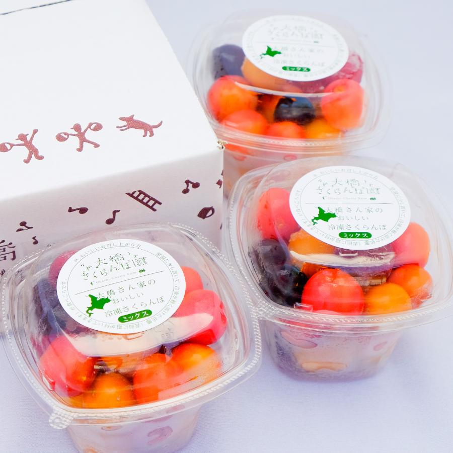 ＜大橋さくらんぼ園＞果樹園のさくらんぼパイ＆冷凍さくらんぼミックスセット