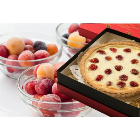 ＜大橋さくらんぼ園＞果樹園のさくらんぼチーズタルト＆冷凍さくらんぼミックスセット