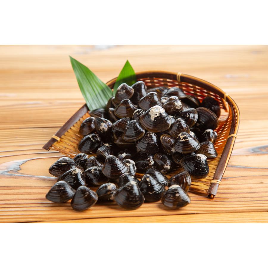 <丸富農水>冷凍砂出ししじみ250g×5袋