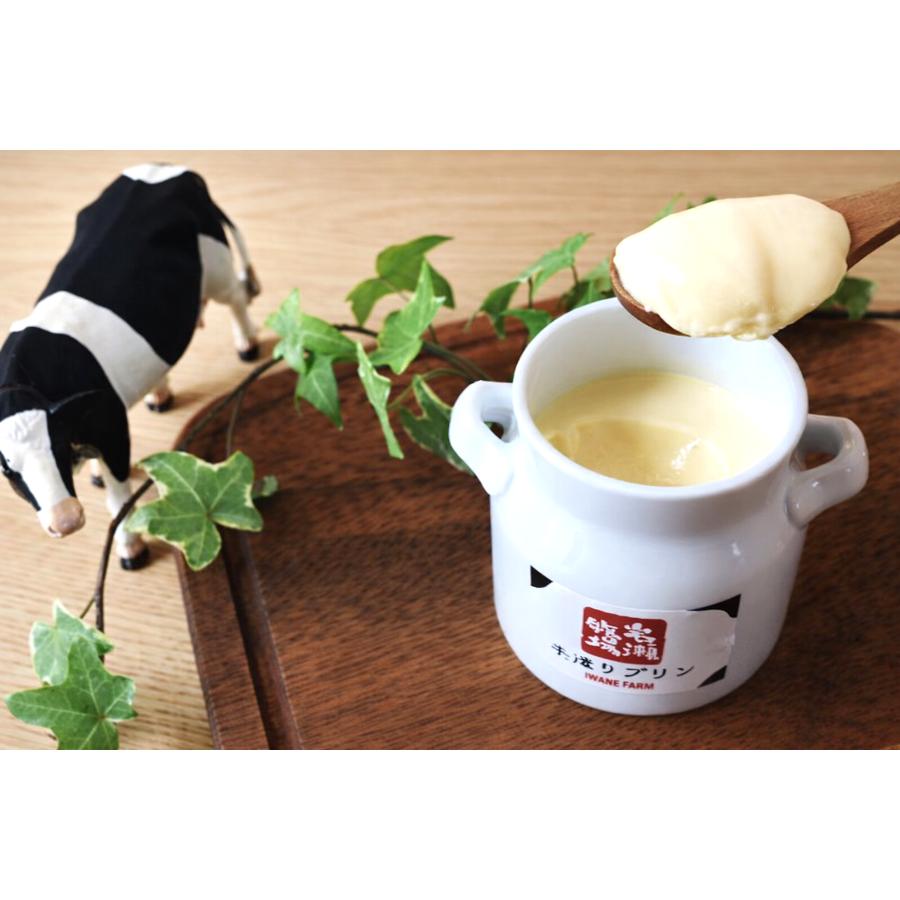 <岩瀬牧場>こだわりプリン 2種・6個セット