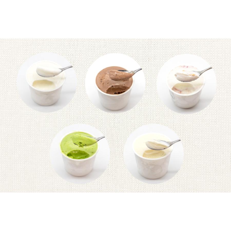 <岩瀬牧場>アイス5種食べ比べセット