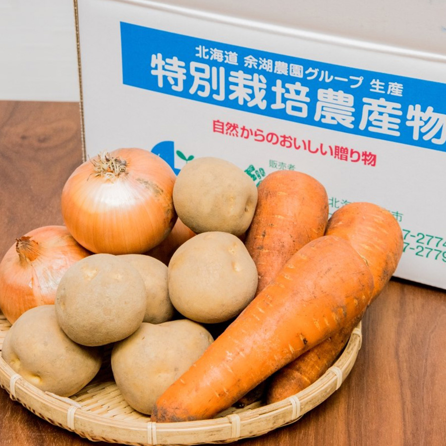 秋の野菜4点セット