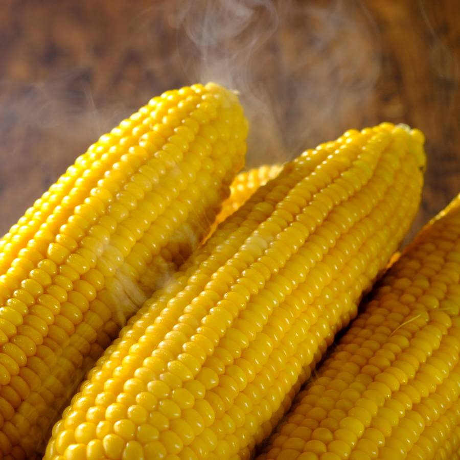 ＜余湖農園＞朝採りスイートコーン10本入り